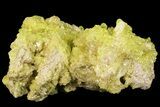 Sulfur Crystals on Matrix - Bolivia #66293-1